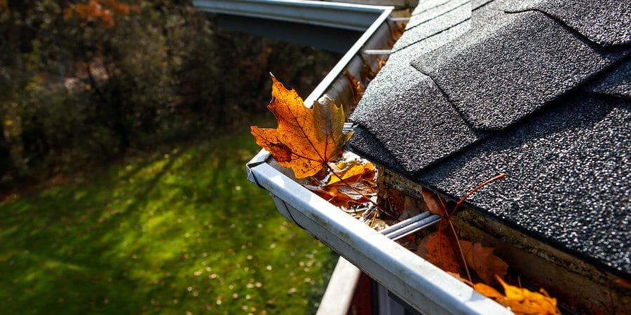 10 Common Ways Roofs Sustain Damage in the Fall